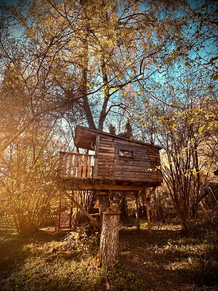 Le Royaume de Mila — cabane perchée
